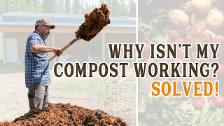 Common Compost Problems FIXED! & How to Turn (Your SIMPLE) Compost