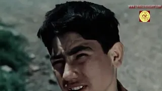 Bambini Romani 1959