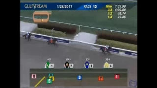 How to Play the Santa Anita Handicap using Race Lens [Webinar 03/09/2017]