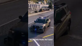 WORKING PARK PATTERN. We managed to recreate it in FiveM #police #sheriff #fivem #gta5 #roleplay