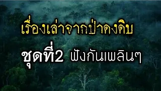 รวมเรื่องเล่าจากป่าดงดิบ ชุดที่2 ฟังกันเพลินๆ