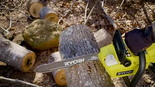 RYOBI 40V Brushless 14" Chain Saw
