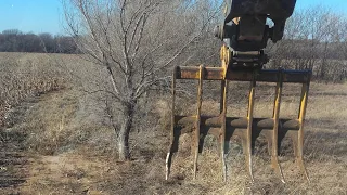 Scrub Tree Clearing