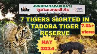Tadoba Jungle Safari | Moharli-Junona Gate |Tigers & Sloth bear sighted | Episode-1