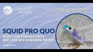 Squid Pro Quo: Insights from a Hawaiian denizen about living with our microbial partners