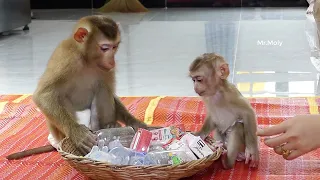 Mori & Zuji Sitting Orderly Look At Basket Milk & Waiting Mom Prepare Milk For
