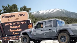 Mt Charleston Off Road Trails  ⛰ [Wheeler Pass | 4x4 Trails Near Las Vegas]