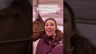 equestrian tiktok #6