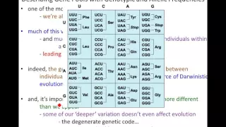 Lecture 18 - Population Genetics, Part 1