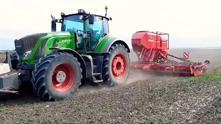 Horsch Pronto 6 DC. Сев озимой пшеницы 2019