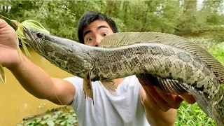 I FINALLY CAUGHT A FRANKENFISH!!! (They INVADED an ABANDONED Golf Course!)