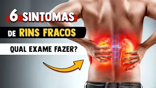 6 sintomas e causas de RINS FRACOS