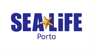 Sea life. Porto. Аквариум в Порту Португалия.