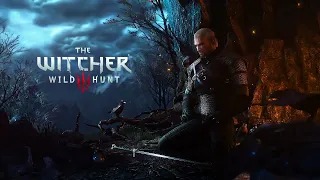 The Witcher 3 Wild Hunt EXTENDED OST - Ard Skellig General Combat Transition [Layer 03]