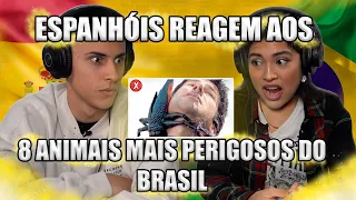 ESPANHÓIS REAGEM AOS 8 ANIMAIS MAIS PERIGOSOS DO BRASIL