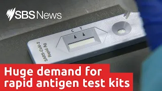 Huge demand for rapid antigen test kits I SBS News