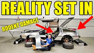 I Took EVERYTHING Apart On My Abandoned DeLorean & Discovered Its TRUE Condition! This Is Heavy!