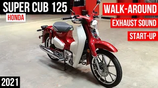 2021 Honda Super Cub 125 Walkaround + Exhaust Sound | Scooter / Automatic Motorcycle | miniMOTO