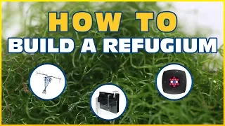 How to Set Up a Refugium: Harvesting Macroalgae To Control Nitrate and Phosphate