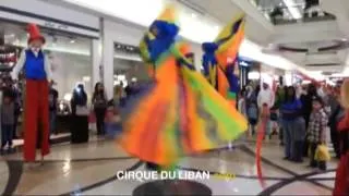 cirqueduliban.com