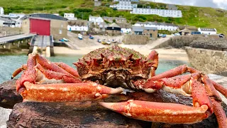 Coastal Foraging and Exploring - Exploring Lands End and Diving for Spider Crabs | The Fish Locker