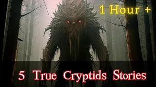 5 True Cryptids Encounter Horror Stories 1 Hour +