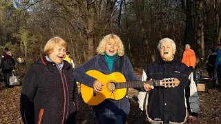 Виват. Ворона и бильярдные шары -В.Качан