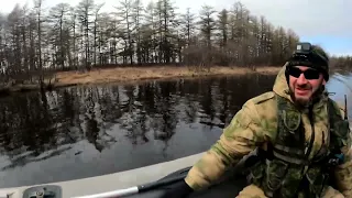 Стада селедки в заливе.Разведка после схода льда./ a large herring herd