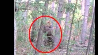 Big Foot Is Real, Research Team Claims, Here Are The Evidences