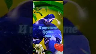 Поздравляю с днем Семьи ,Любви и Верности!💖