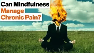 How Meditation Can Manage Chronic Pain and Stress | Daniel Goleman | Big Think