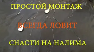 ДЕЛАЕМ  ДОНКИ на НАЛИМА, СУДАКА! ЛОВЯТ И НЕ ПУТАЮТСЯ #всегданарыбалке #монтажснасти #налим #донки