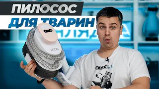 Огляд пилососу для домашніх тварин JIGOO P300 Pet Grooming Vacuum Kit.