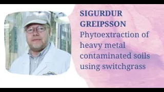 Phytoextraction of heavy metal contaminated soils using switchgrass - Sigurdur Greipsson