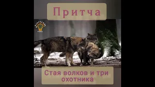 Притча Стая волков и три охотника