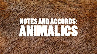 NOTES AND ACCORDS: ANIMALICS