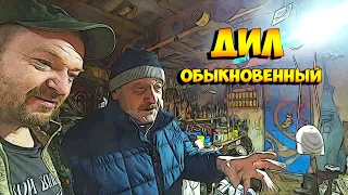 Дил Рязанский Обыкновенный