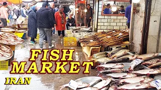 Walking through the AMAZING FISH MARKET - Rasht's BIGGEST fish market 😱-IRAN 2024