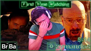 *BREAKING BAD SEASON 5* Episode 14 Ozymandias First Time Watching Reaction/Commentary