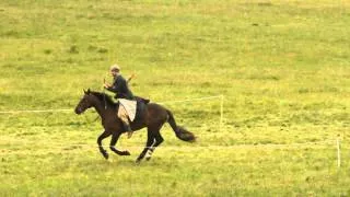 Horseback archery competition in Grunwald - polish track