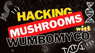 HACKING / BREEDING MUSHROOMS with WumboMyco 🍄 🧬 The MycoGeeky Podcast