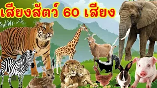 เสียงสัตว์ 60 เสียง พร้อมภาพและวีดีโอ สัตว์ป่านานาชนิด คำศัพท์เกี่ยวกับสัตว์เพื่อการเรียนรู้