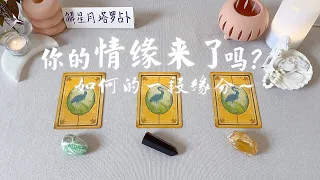 🦩你的情缘要来了吗？如何的一段缘分呢～塔罗占卜🪗来自天使的指引～