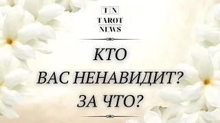 КТО И ЗА ЧТО ВАС НЕНАВИДИТ?