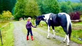 Horse farts and scares itself and child