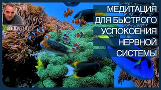 Андрей Ракицкий. Медитация для успокоения нервной системы и снятия стресса. С переходом в сон.