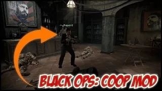 Call of Duty: Black ops - Coop Mod (ссылка в описании)