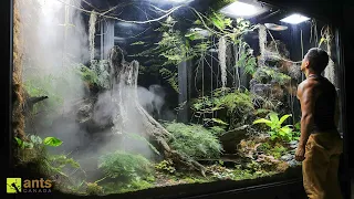 Invasive Ants Broke Into My Giant Rainforest Vivarium