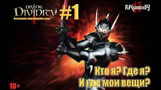 ПРОХОЖДЕНИЕ игры Divine Divinity #1 Кто я? Где я? И где мои вещи?