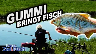 FISCH auf SPUR BRINGEN - STIPPEN in der STRÖMUNG - Angelschule mit JÖRG OVENS - Unser Ziel ist Fisch